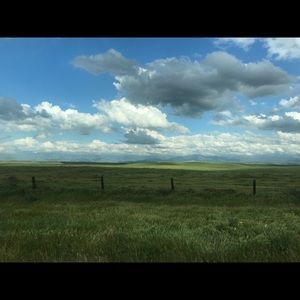 Meet your Posher, Katrina